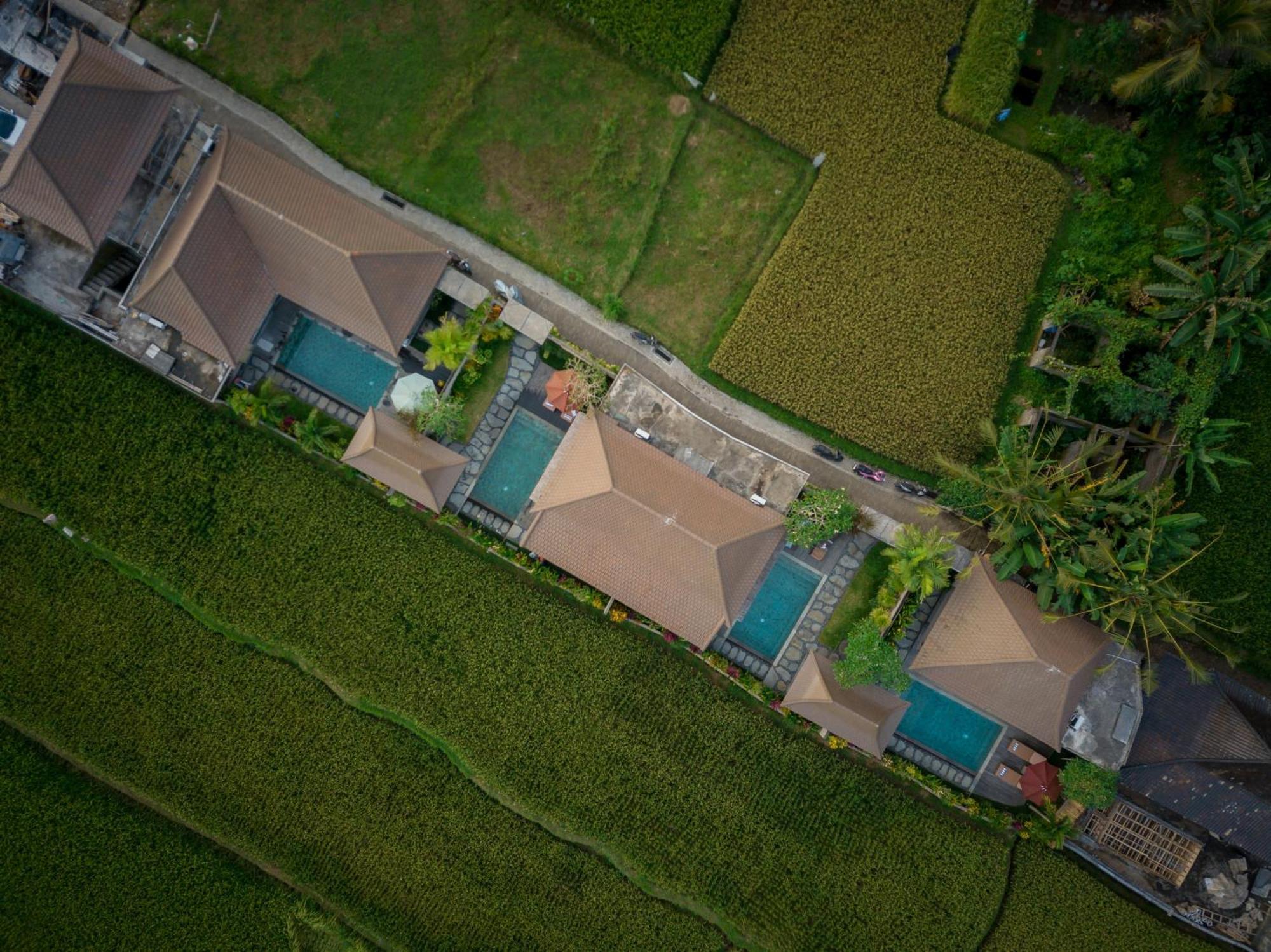 Happy Honeymoon Private Villa Убуд Экстерьер фото